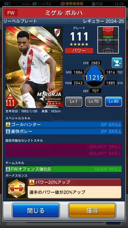  ミゲルボルハ リーベルプレート（グレード：111）のスキルデータ