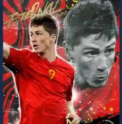 フェルナンドトーレス
