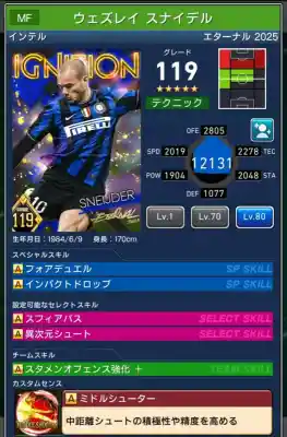  インテル ウェズレイスナイデル（グレード：119）のスキルデータ